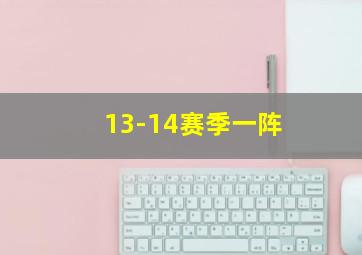 13-14赛季一阵