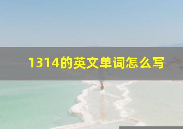 1314的英文单词怎么写