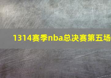 1314赛季nba总决赛第五场