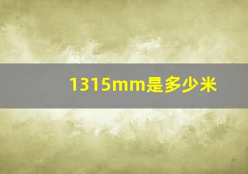 1315mm是多少米