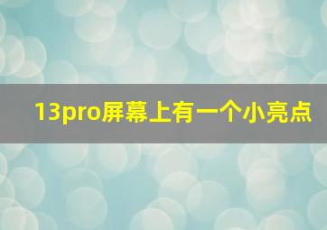 13pro屏幕上有一个小亮点