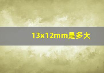 13x12mm是多大