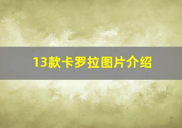 13款卡罗拉图片介绍