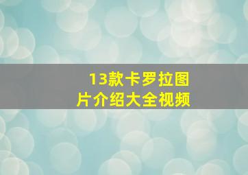 13款卡罗拉图片介绍大全视频