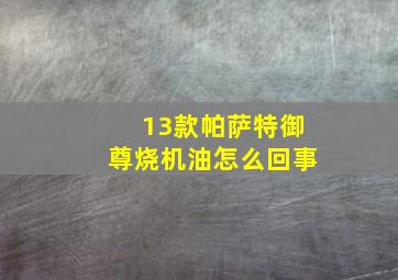 13款帕萨特御尊烧机油怎么回事