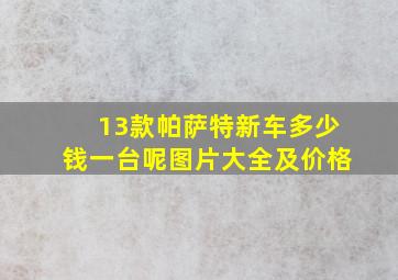 13款帕萨特新车多少钱一台呢图片大全及价格