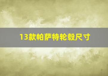 13款帕萨特轮毂尺寸