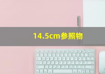 14.5cm参照物