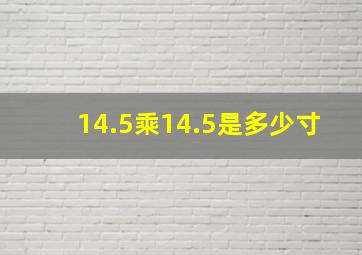 14.5乘14.5是多少寸