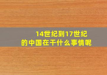 14世纪到17世纪的中国在干什么事情呢