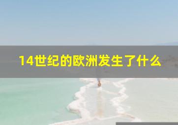 14世纪的欧洲发生了什么