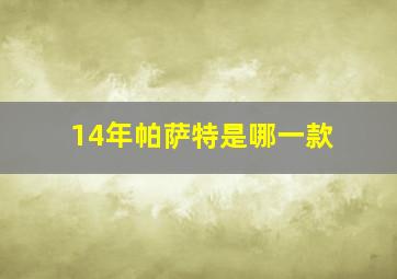 14年帕萨特是哪一款