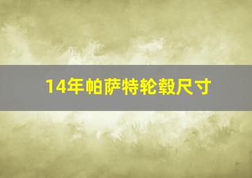 14年帕萨特轮毂尺寸