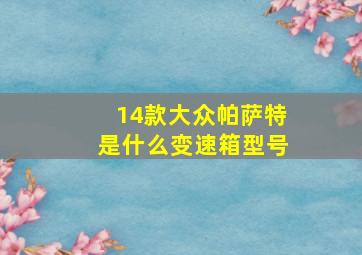 14款大众帕萨特是什么变速箱型号