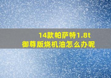 14款帕萨特1.8t御尊版烧机油怎么办呢