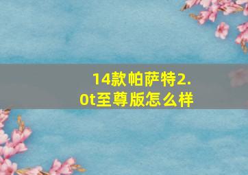 14款帕萨特2.0t至尊版怎么样