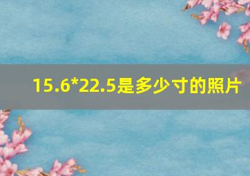 15.6*22.5是多少寸的照片