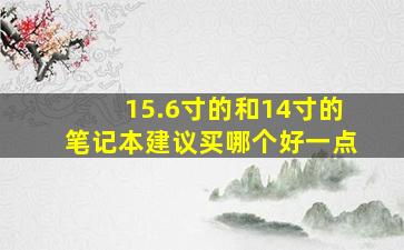 15.6寸的和14寸的笔记本建议买哪个好一点