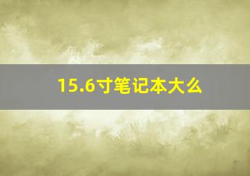 15.6寸笔记本大么