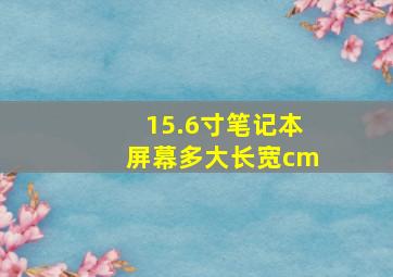 15.6寸笔记本屏幕多大长宽cm