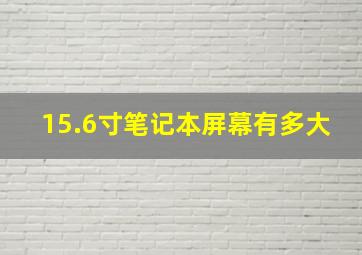 15.6寸笔记本屏幕有多大