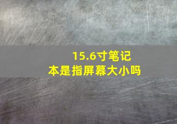 15.6寸笔记本是指屏幕大小吗