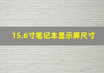 15.6寸笔记本显示屏尺寸