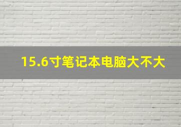 15.6寸笔记本电脑大不大