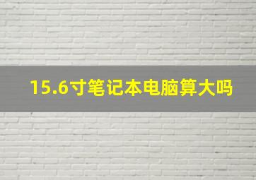 15.6寸笔记本电脑算大吗