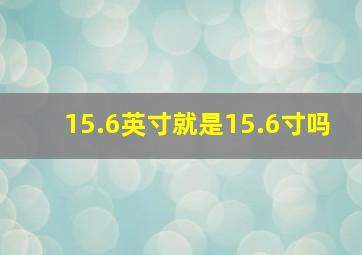 15.6英寸就是15.6寸吗