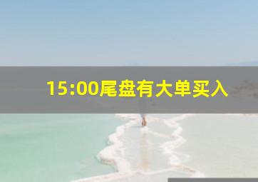 15:00尾盘有大单买入