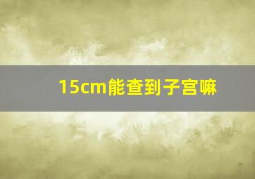 15cm能查到子宫嘛