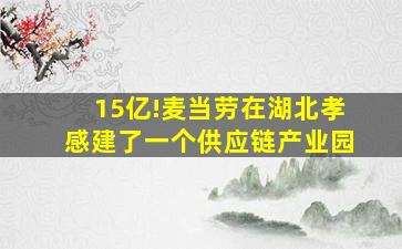 15亿!麦当劳在湖北孝感建了一个供应链产业园