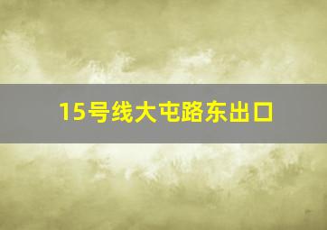 15号线大屯路东出口