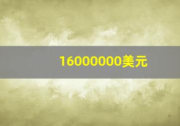 16000000美元