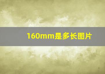 160mm是多长图片