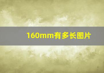 160mm有多长图片