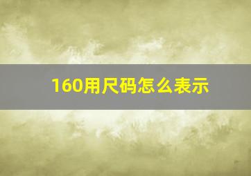 160用尺码怎么表示