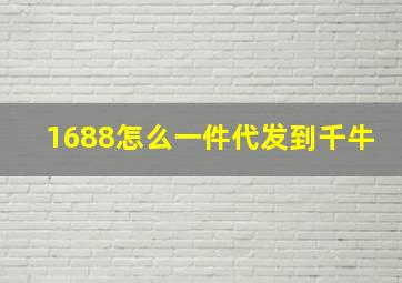 1688怎么一件代发到千牛