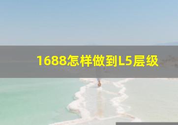 1688怎样做到L5层级