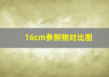 16cm参照物对比图