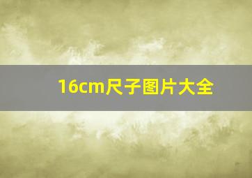 16cm尺子图片大全