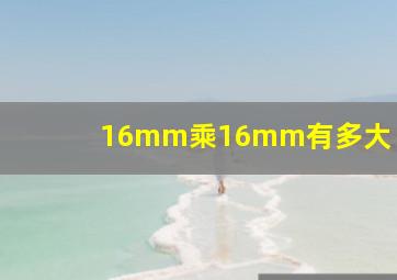 16mm乘16mm有多大