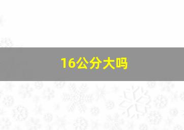 16公分大吗