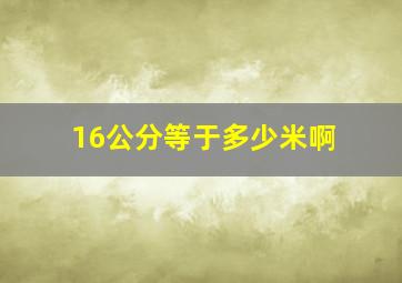 16公分等于多少米啊