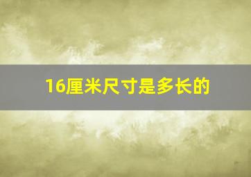 16厘米尺寸是多长的