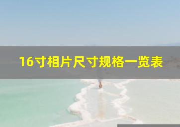 16寸相片尺寸规格一览表