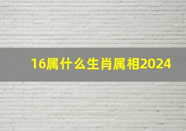 16属什么生肖属相2024