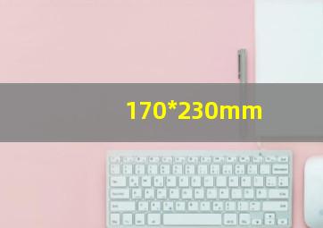 170*230mm