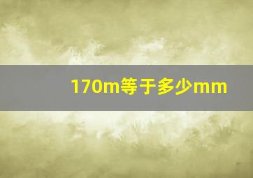 170m等于多少mm